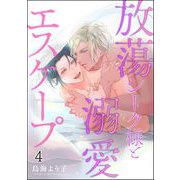 放蕩シーク様と溺愛エスケープ（分冊版） 【第4話】（海王社） [電子書籍]
