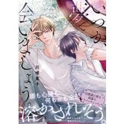いつか、夢で会いましょう。（リブレ） [電子書籍]