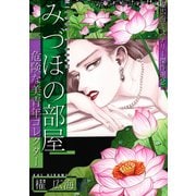 みづほの部屋～危険な美青年コレクター～櫂広海ミステリー傑作選2（スマートゲート） [電子書籍]