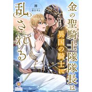 金の聖騎士隊隊長は異国の騎士に乱される（パルプライド） [電子書籍]