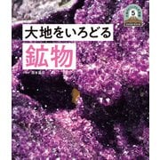日本列島5億年の旅 大地のビジュアル大図鑑 大地をいろどる鉱物（ポプラ社） [電子書籍]