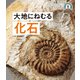 日本列島5億年の旅 大地のビジュアル大図鑑 大地にねむる化石（ポプラ社） [電子書籍]
