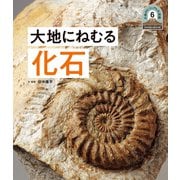 日本列島5億年の旅 大地のビジュアル大図鑑 大地にねむる化石（ポプラ社） [電子書籍]