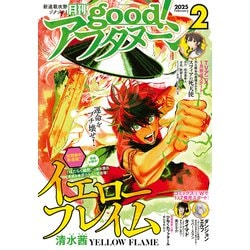 月刊good!アフタヌーン まとめ売り 月刊good!アフタヌーン まとめ売り