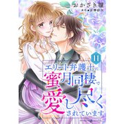 エリート弁護士に蜜月同棲で愛し尽くされています【分冊版】11話（マーマレードコミックス） [電子書籍]
