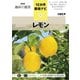 レモン（NHK出版） [電子書籍]