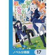 家を追い出されましたが、元気に暮らしています【ノベル分冊版】 17（KADOKAWA） [電子書籍]
