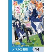 家を追い出されましたが、元気に暮らしています【ノベル分冊版】 44（KADOKAWA） [電子書籍]