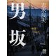 男坂（シティブックス） [電子書籍]