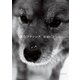 沈むフランシス（新潮文庫）（新潮社） [電子書籍]