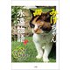みけちゃん永遠物語 ～にゃん生"はなまる"にゃわ～（小学館） [電子書籍]