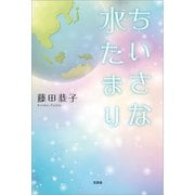 ちいさな水たまり（文芸社） [電子書籍]