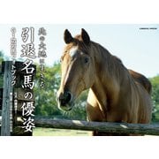 北の大地に生きる引退名馬の優姿（コスミック出版） [電子書籍]