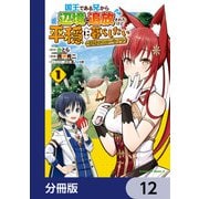 国王である兄から辺境に追放されたけど平穏に暮らしたい ～目指せスローライフ～【分冊版】 12（KADOKAWA） [電子書籍]