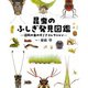 昆虫のふしぎ発見図鑑 近所の虫のすごさコレクション（山と溪谷社） [電子書籍]