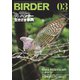 BIRDER（バーダー） 2025年3月号（文一総合出版） [電子書籍]
