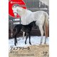 週刊Gallop（ギャロップ） 2025年2月23日号（サンケイスポーツ） [電子書籍]