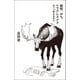 納税、のち、ヘラクレスメス のべつ考える日々（コルク） [電子書籍]