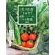 たったの1m2で！ 野菜とハーブと花のミニ菜園（主婦の友社） [電子書籍]