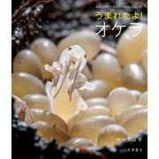 うまれたよ！ オケラ（岩崎書店） [電子書籍]