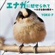エナガに魅せられて ～小さな命の輝き～（文芸社） [電子書籍]