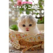 癒しのねこ写真集 かわいいこねこ ～大好き！ スコティッシュ・フォールド～（PAD） [電子書籍]