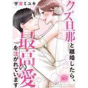 クズ旦那と離婚したら、最高の愛を注がれています【電子単行本版】3（ファンギルド） [電子書籍]