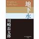 P＋D BOOKS 地下水（小学館） [電子書籍]