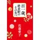 百一歳。終着駅のその先へ（中央公論新社） [電子書籍]