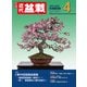 近代盆栽2025年4月号（近代出版） [電子書籍]