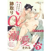 もふもふタヌキは跡取りαに溺愛される 3（コアマガジン） [電子書籍]