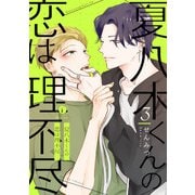 夏八木くんの恋は理不尽 （3）（eBookJapan Plus） [電子書籍]