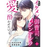 凄腕イケメン御曹司は最愛シンデレラをとめどない愛で酔わせたい2（ファンギルド） [電子書籍]
