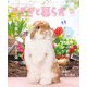 うさぎと暮らす No.95（うさぎと暮らす） [電子書籍]