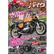 G-ワークス バイク Vol.38（三栄） [電子書籍]