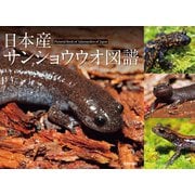 日本産サンショウウオ図譜（技術評論社） [電子書籍]
