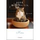 まるです。猫と暮らすということ。（双葉社） [電子書籍]