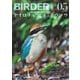 BIRDER（バーダー） 2025年5月号（文一総合出版） [電子書籍]