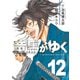 竜馬がゆく 12（文藝春秋） [電子書籍]