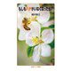 もしもハチがいなくなったら？（岩波書店） [電子書籍]