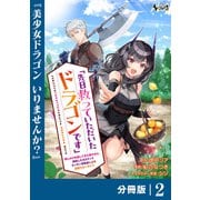 先日救っていただいたドラゴンです【分冊版】（ノヴァコミックス）2（一二三書房） [電子書籍]