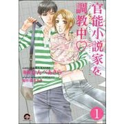 官能小説家を調教中v（分冊版） 【第1話】（海王社） [電子書籍]