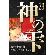 神の雫 愛蔵版 29（スマートゲート） [電子書籍]