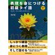 【音声DL対応】表現を身につける初級タイ語（改訂版）（三修社） [電子書籍]