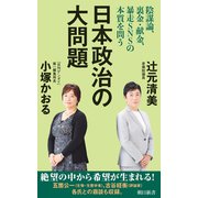 日本政治の大問題 陰謀論、裏金・献金、暴走SNSの本質を問う（朝日新聞出版） [電子書籍]