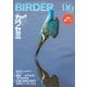 BIRDER（バーダー） 2025年6月号（文一総合出版） [電子書籍]