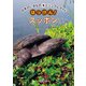 日本のいきものビジュアルガイド はっけん！ スッポン（緑書房） [電子書籍]