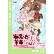 【期間限定価格 2025年6月5日まで】猫魔法が世界に革命を起こすそうですよ？【分冊版】（ノヴァコミックス）3（一二三書房） [電子書籍]