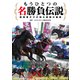 もうひとつの名勝負伝説～関係者だけが知る激闘の裏側（マイクロマガジン社） [電子書籍]