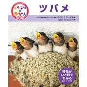くらべてみよう！どうぶつの赤ちゃん 25 ツバメ（ポプラ社） [電子書籍]
